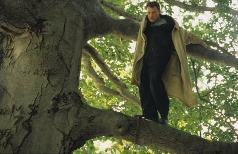 Treed Murray background